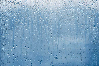 شرجی هوا در استان بوشهر به ۹۲ درصد رسید