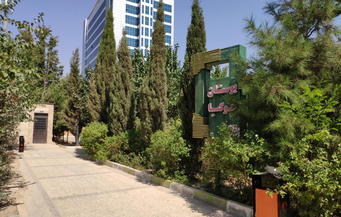 چوگیا الگوی بازآفرینی در کشور