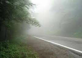 هواشناسی بوشهر برای نقاط استان مه صبحگاهی پیش بینی کرد