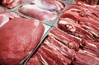 توزیع ۲۰ تن گوشت گرم گوساله در استان بوشهر آغاز شد