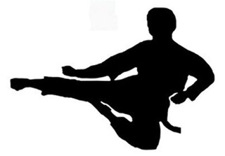 استان بوشهر میزبان مسابقات کشوری فدراسیون کونگ فو شد