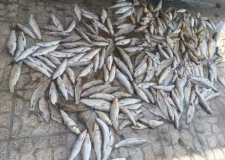 صیادان غیرمجاز سد سلمان فارسی به دام افتادند