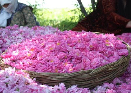 بزرگداشت روز میمند در سال ۱۴۰۳ متفاوت تر از گذشته برگزار خواهد شد