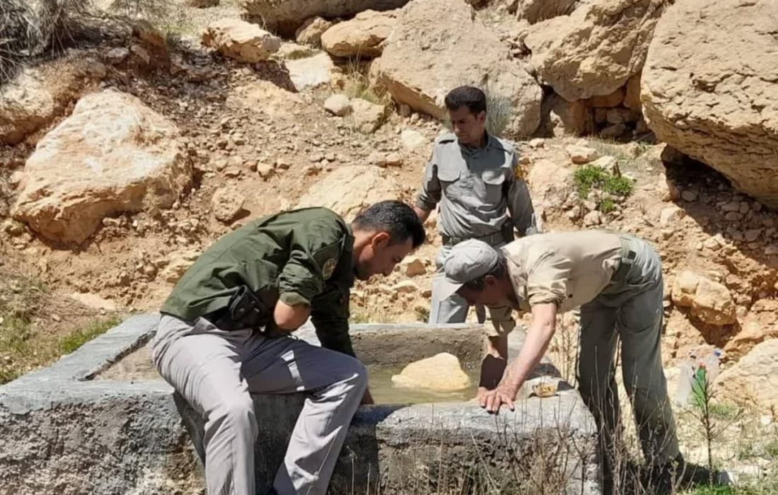 اقدام شایسته دوستداران محیط زیست برای پاکسازی  اطراف شهر نوبندگان  شهرستان فسا