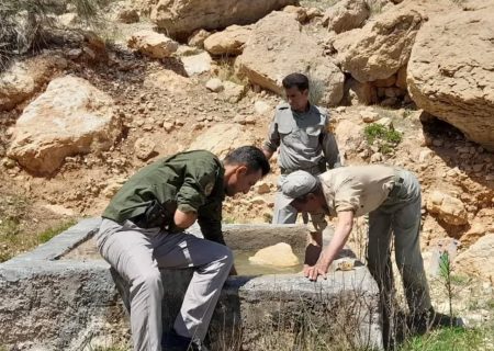 اقدام شایسته دوستداران محیط زیست برای پاکسازی  اطراف شهر نوبندگان  شهرستان فسا