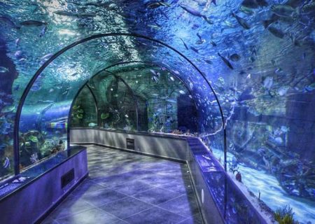 احداث بزرگترین تونل آکواریوم کشور در شیراز