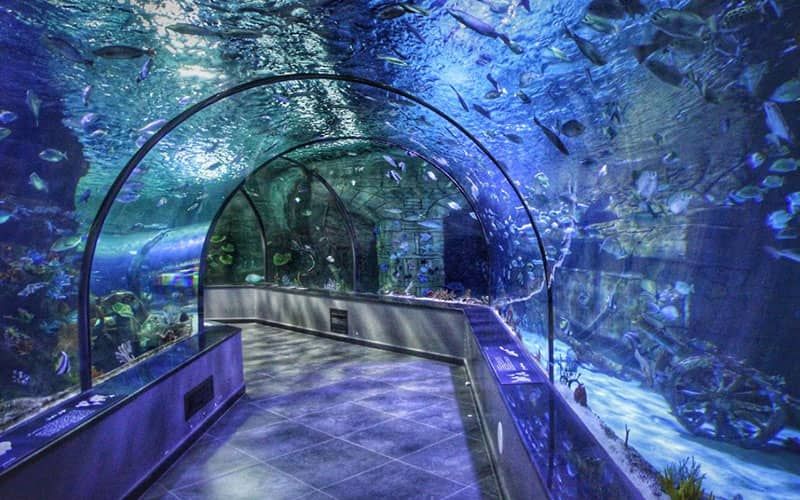 احداث بزرگ‌ترین تونل آکواریوم کشور در شیراز