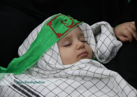 همایش شیرخوارگان حسینی در برازجان