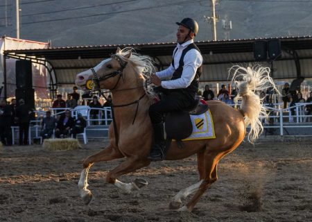 جشنواره زیبایی های اسب اصیل ایرانی