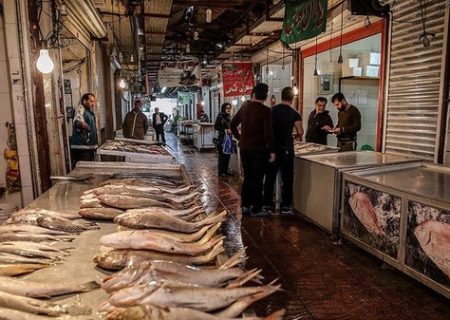 صید ماهی شیر در استان بوشهر ممنوع شد