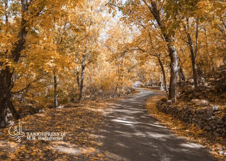 طبیعت در آخرین روز پاییز