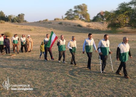 پیاده‌روی خادمیاران رضوی در دشتستان برگزار شد