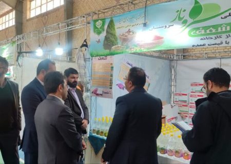 حمایت بنیاد علوی از ۴۴۰۰ طرح اشتغال‌زایی در فارس