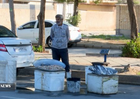 پدر شهیدی که با ماهی فروشی روزگار می‌گذراند