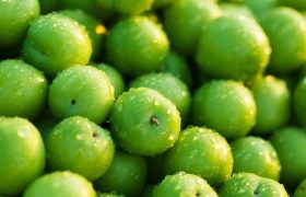 نوبرانه‌ای با قیمت نجومی؛ واردات قاچاق گوجه سبز