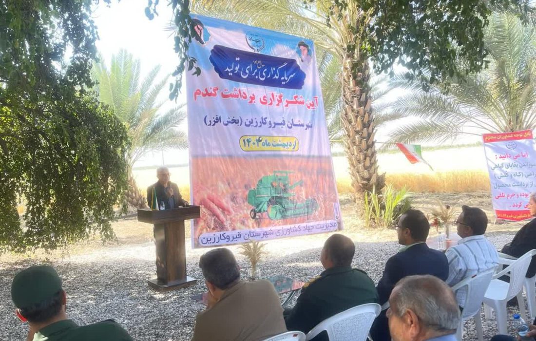 برگزاری آیین شکرگذاری برداشت گندم در افزر