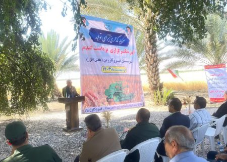 برگزاری آیین شکرگذاری برداشت گندم در افزر