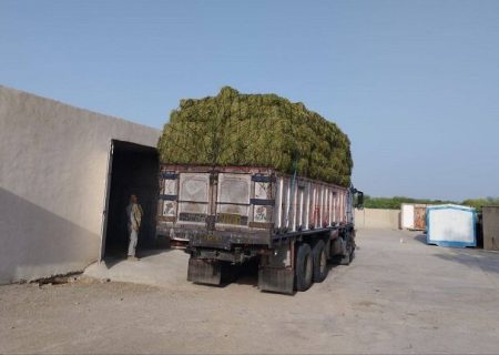 تعلیف دستی آهوها در منطقه حفاظت‌شده «مند»