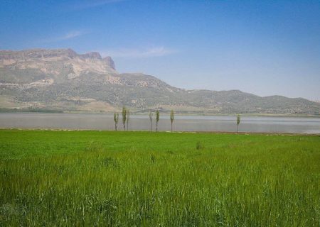 سند تک برگ تالاب ارژن در استان فارس صادر شد
