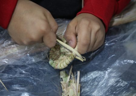 توسعه صنایع دستی و مشاغل خانگی در روستاهای عشایرنشین قیروکارزین با محوریت حصیربافی